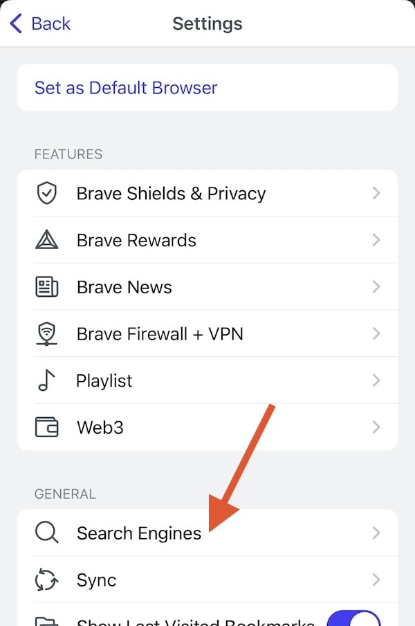 Brave iOS search engines