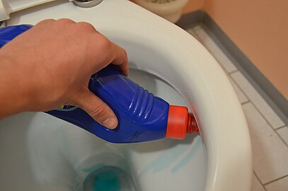 Toilet cleaner