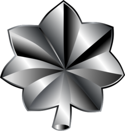 Lieutenant colonel (United States)