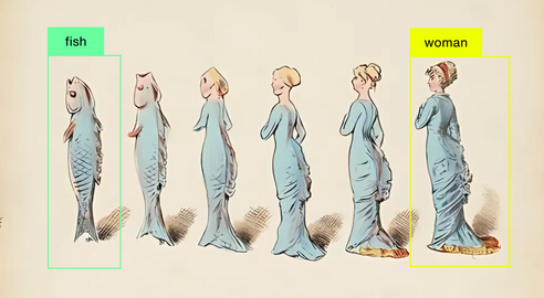 Outline of object recognition
