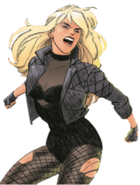 8,796 Photos of Black Canary | net.photos
