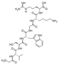 PE 22-28
