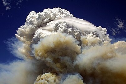 Flammagenitus cloud