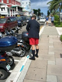 Bermuda shorts