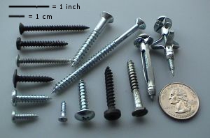 Screw