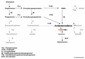 3 hydroxysteroid dehydrogenase deficiency symptoms