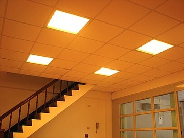 Dropped ceiling
