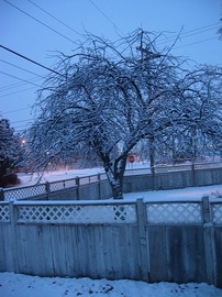 Dormant
