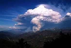Pyrocumulus cloud
