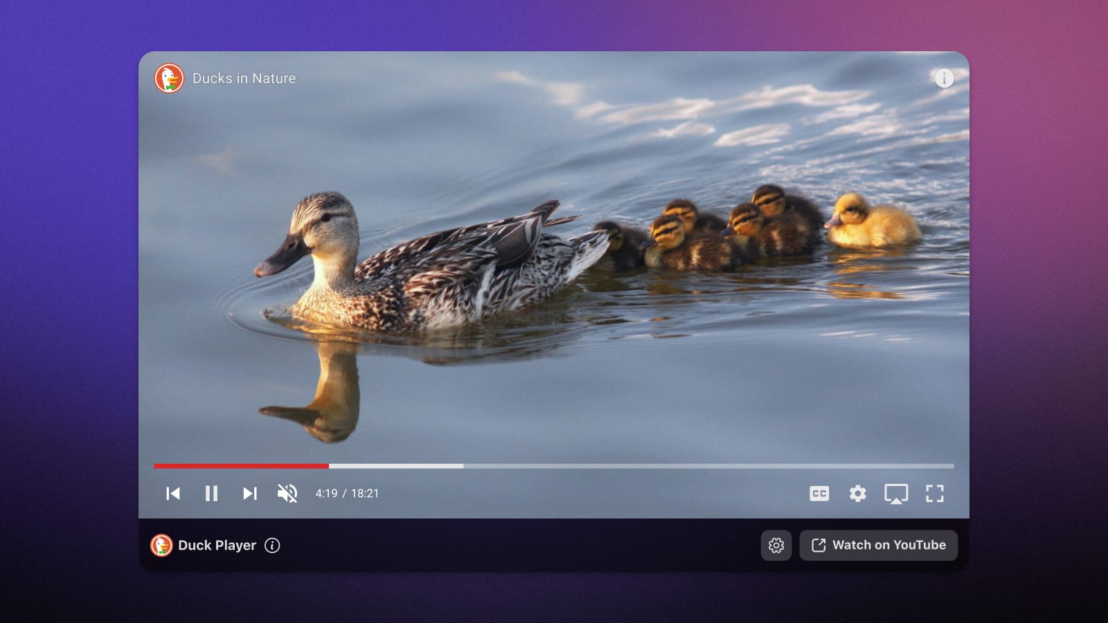 Public Launch of DuckDuckGo for Windows Beta