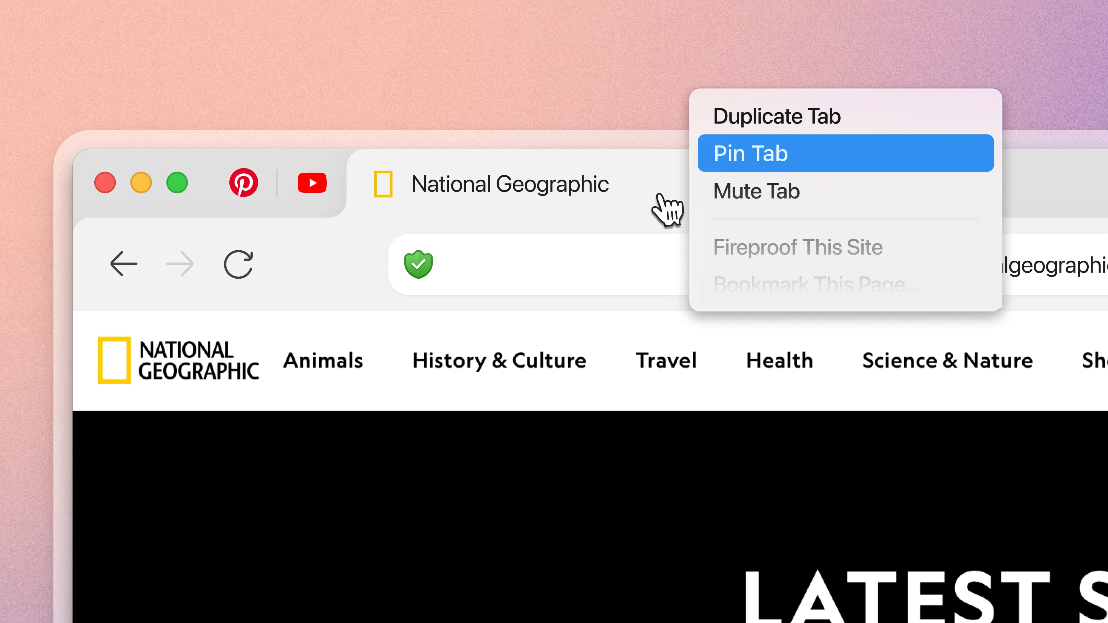 Introduced Pinned Tabs